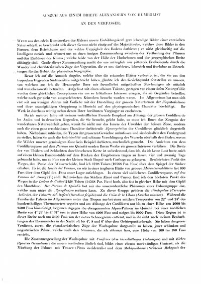 Humboldt, Alexander von: Auszug aus einem Briefe Alexanders von Humboldt an den Verfasser. In: Berg, Albert: Physiognomie der tropischen Vegetation Süd-Americas. Düsseldorf, 1854, S. [i]-ii.
