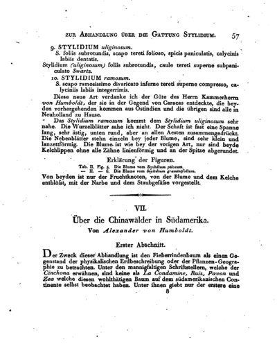 Humboldt, Alexander von: Über die Chinawälder in Südamerika. In: Magazin für die neusten Entdeckungen in der gesammten Naturkunde, 1. Jg. (1807), S. 57-68, 104-120.