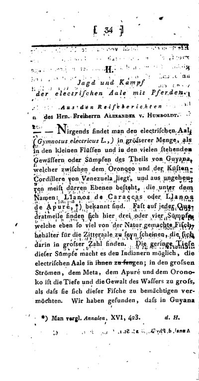 Humboldt, Alexander von: Jagd und Kampf der electrischen Aale mit Pferden. In: Annalen der Physik, 25 (1807), S. 34-43.